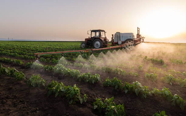 Best Pest Control for Homes  in Edenton, NC