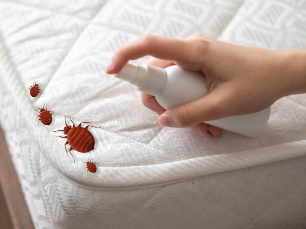 Best Residential Pest Control  in Edenton, NC