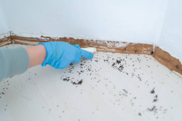 Pest Control for Restaurants in Edenton, NC